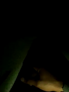 mivergateculeabienrico online show from February 10, 2026, 7:40 am