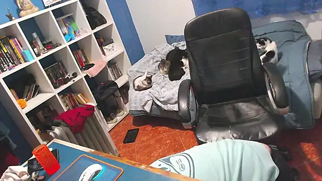 ravingr4d4 online show from February 2, 2026, 11:26 pm