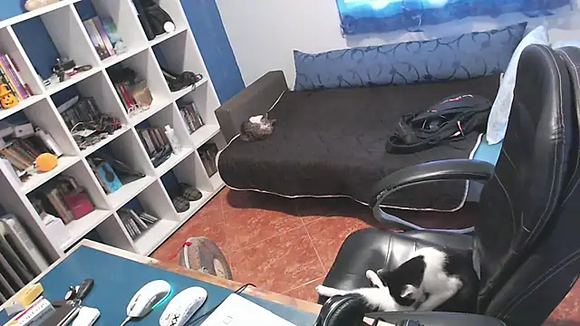 ravingr4d4 online show from October 24, 2025, 3:22 pm