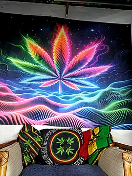 Bbboy42 online show from November 24, 2025, 9:37 pm