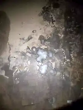 Snapshot of Rahul_sharma_horny chatting on December 28, 2024, 3:59 pm Rahul sharma horny online show from December 28, 2024, 3:59 pm