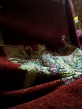 Sohel646 online show from April 8, 2026, 8:21 pm