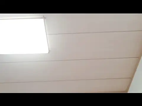 Snapshot of xxArisaxx chatting on November 29, 2025, 6:02 am xxArisaxx online show from November 29, 2025, 6:02 am