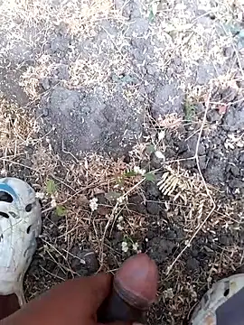 Ajith mvi online show from March 14, 2026, 2:06 am