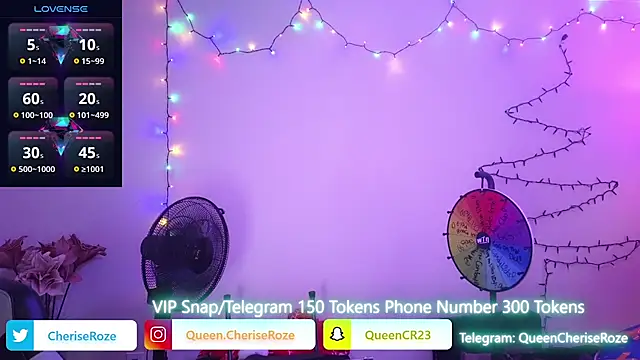 Snapshot of cheriserozequeen chatting on December 22, 2024, 10:25 pm cheriserozequeen online show from December 22, 2024, 10:25 pm