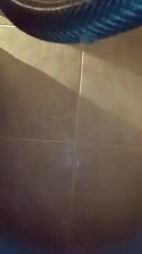 Snapshot of whitetrashdirtyslut chatting on December 4, 2025, 3:16 am whitetrashdirtyslut online show from December 4, 2025, 3:16 am