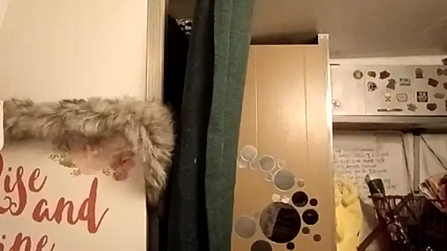 whitetrashdirtyslut online show from February 25, 2026, 12:16 pm