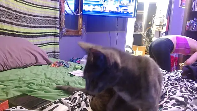 watermellonpussy online show from August 4, 2026, 8:41 am
