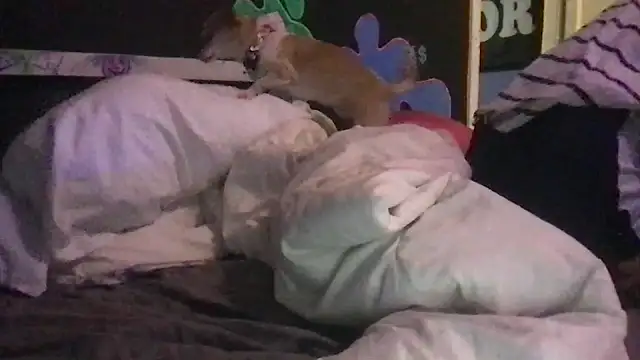 watermellonpussy online show from December 23, 2024, 11:06 pm