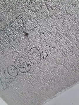 Ernesto696967 online show from February 4, 2026, 4:24 pm