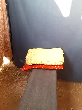 Burhade-- online show from October 12, 2025, 11:33 am