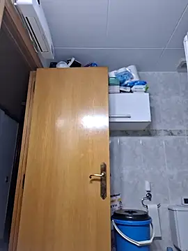 Javier bear online show from November 14, 2025, 2:10 pm