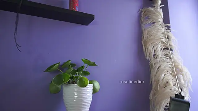 Snapshot of roselinedior chatting on May 20, 2026, 4:26 pm roselinedior online show from May 20, 2026, 4:26 pm
