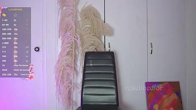 Snapshot of roselinedior chatting on November 12, 2025, 11:52 pm roselinedior online show from November 12, 2025, 11:52 pm