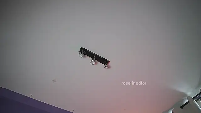 Snapshot of roselinedior chatting on June 21, 2026, 7:08 pm roselinedior online show from June 21, 2026, 7:08 pm
