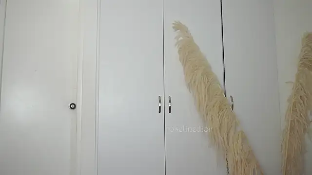 Snapshot of roselinedior chatting on October 10, 2025, 2:07 pm roselinedior online show from October 10, 2025, 2:07 pm