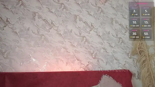 Snapshot of roselinedior chatting on November 20, 2025, 2:18 pm roselinedior online show from November 20, 2025, 2:18 pm