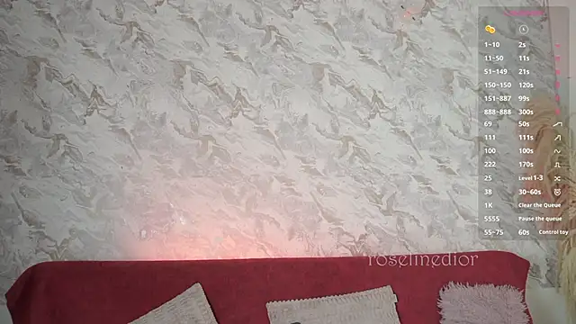 Snapshot of roselinedior chatting on November 19, 2025, 1:55 pm roselinedior online show from November 19, 2025, 1:55 pm