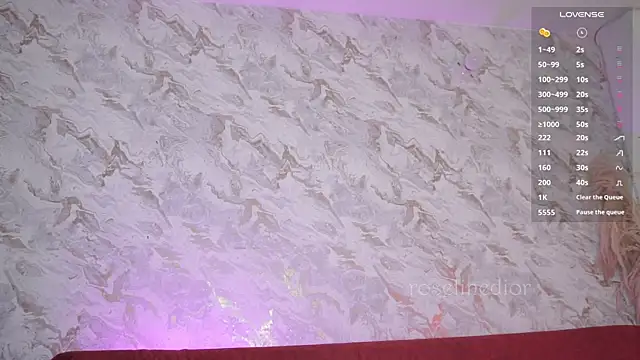 Snapshot of roselinedior chatting on November 29, 2025, 2:06 pm roselinedior online show from November 29, 2025, 2:06 pm