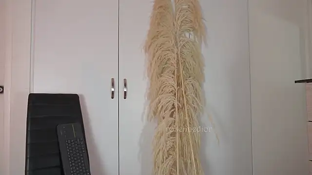 Snapshot of roselinedior chatting on October 20, 2025, 2:17 pm roselinedior online show from October 20, 2025, 2:17 pm