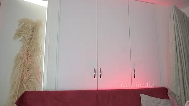 Snapshot of roselinedior chatting on November 9, 2025, 3:49 pm roselinedior online show from November 9, 2025, 3:49 pm