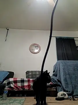 LongDickZee562 online show from December 19, 2025, 9:11 am