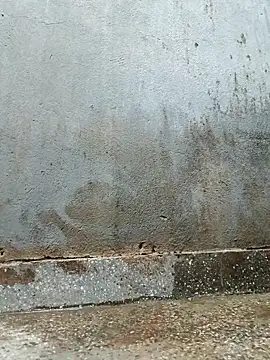 Sergipano fogozinho online show from February 3, 2026, 12:43 am