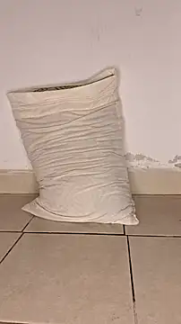 Snapshot of Perqueen chatting on November 7, 2025, 6:01 pm Perqueen online show from November 7, 2025, 6:01 pm