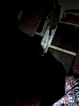 Snapshot of findmemylove chatting on February 18, 2025, 8:14 pm findmemylove online show from February 18, 2025, 8:14 pm