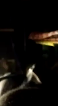 Snapshot of findmemylove chatting on January 7, 2025, 7:06 pm findmemylove online show from January 7, 2025, 7:06 pm