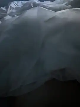 Pongobongo40 online show from February 26, 2026, 1:38 am