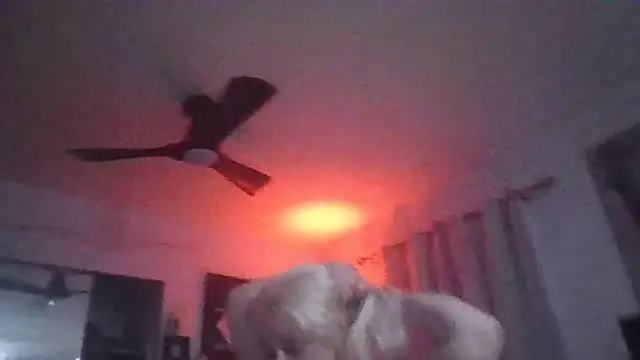 Snapshot of TiaDunn chatting on April 5, 2026, 8:43 am TiaDunn online show from April 5, 2026, 8:43 am