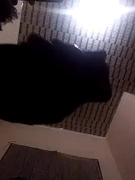 Blackpenis28 online show from May 2, 2026, 1:55 am