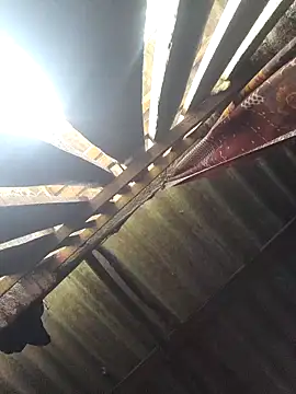 Snapshot of HotSexyBoudi chatting on October 7, 2025, 8:59 am HotSexyBoudi online show from October 7, 2025, 8:59 am