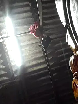 Snapshot of HotSexyBoudi chatting on November 12, 2025, 8:40 am HotSexyBoudi online show from November 12, 2025, 8:40 am