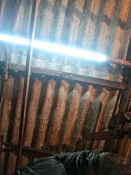 Snapshot of HotSexyBoudi chatting on December 15, 2025, 9:04 am HotSexyBoudi online show from December 15, 2025, 9:04 am