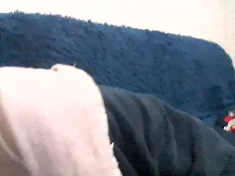 CarlyTreat online show from February 4, 2025, 5:34 pm