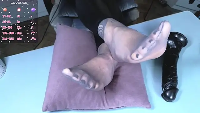  owner online show from April 29, 2026, 7:34 am