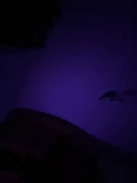 Micky  love online show from October 12, 2025, 12:56 am