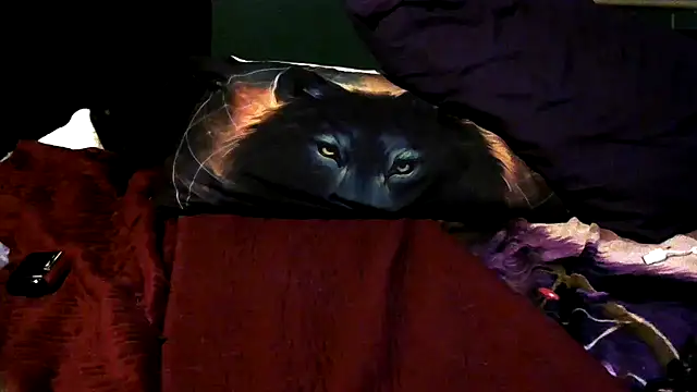 Snapshot of wolfgirl97 chatting on December 4, 2025, 12:26 pm wolfgirl97 online show from December 4, 2025, 12:26 pm