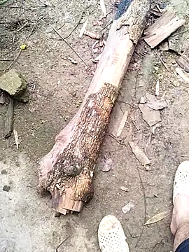 idocudai online show from February 23, 2026, 3:19 am