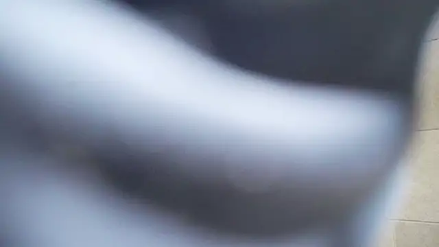 tokimori online show from November 29, 2025, 2:39 pm