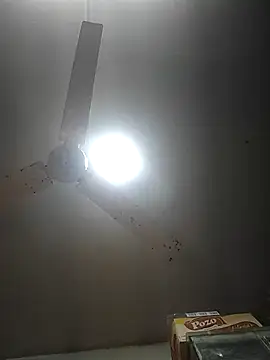 Snapshot of FabiQuilmes chatting on June 20, 2026, 2:11 pm FabiQuilmes online show from June 20, 2026, 2:11 pm