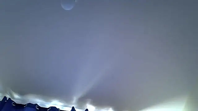 Snapshot of sweet_darlli chatting on July 13, 2026, 11:09 am sweet darlli online show from July 13, 2026, 11:09 am