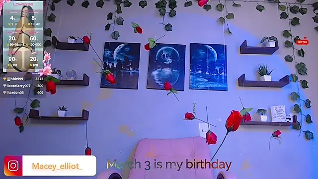 Snapshot of macey_elliot_ chatting on February 26, 2025, 9:53 pm macey elliot online show from February 26, 2025, 9:53 pm