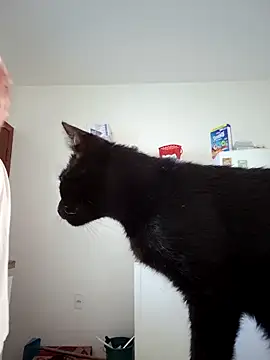 Snapshot of Escarlate4you_ chatting on March 22, 2026, 9:44 am Escarlate4you online show from March 22, 2026, 9:44 am