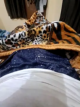 villagb12 online show from December 25, 2024, 7:24 pm