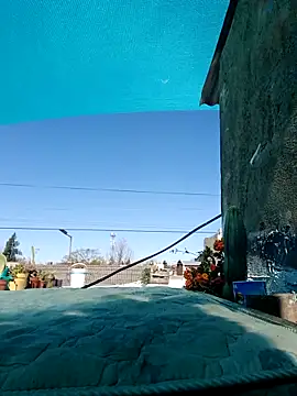 puak6666 online show from September 11, 2025, 5:13 pm