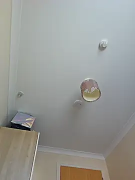 Snapshot of meateater1 chatting on November 1, 2025, 10:42 am meateater1 online show from November 1, 2025, 10:42 am