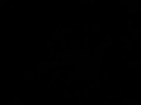 ArtemMR online show from December 13, 2024, 10:34 pm